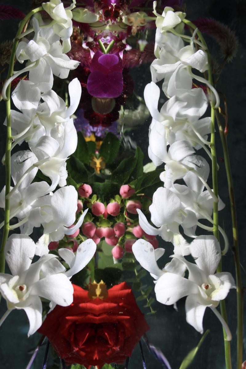 Andrea Bonfils Submerged Garden 0336