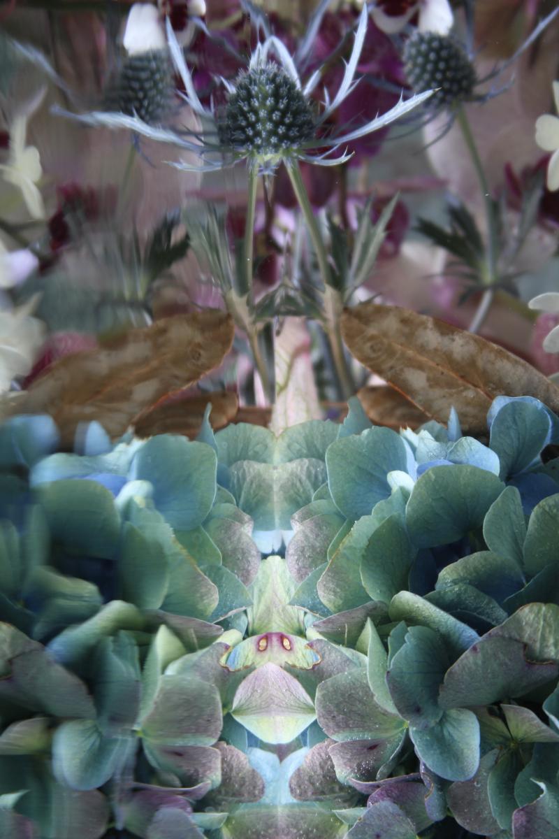 Andrea Bonfils Submerged Garden 3171