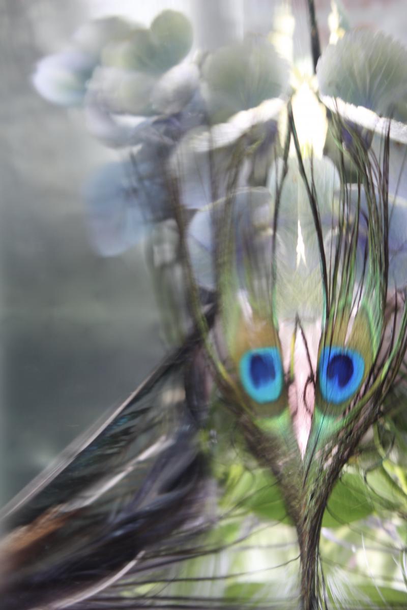 Andrea Bonfils Submerged Garden 4046