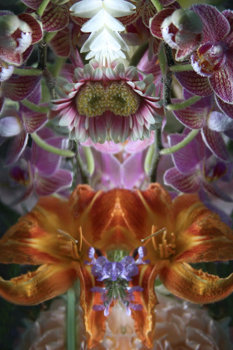 Andrea Bonfils Submerged Garden 4662