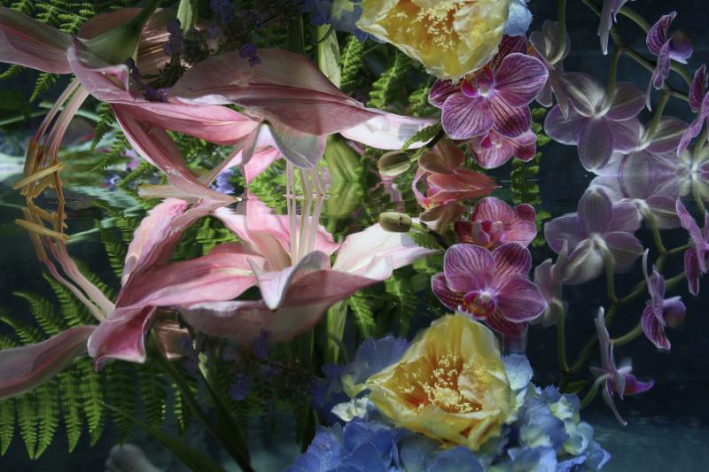 Andrea Bonfils Submerged Garden 4829