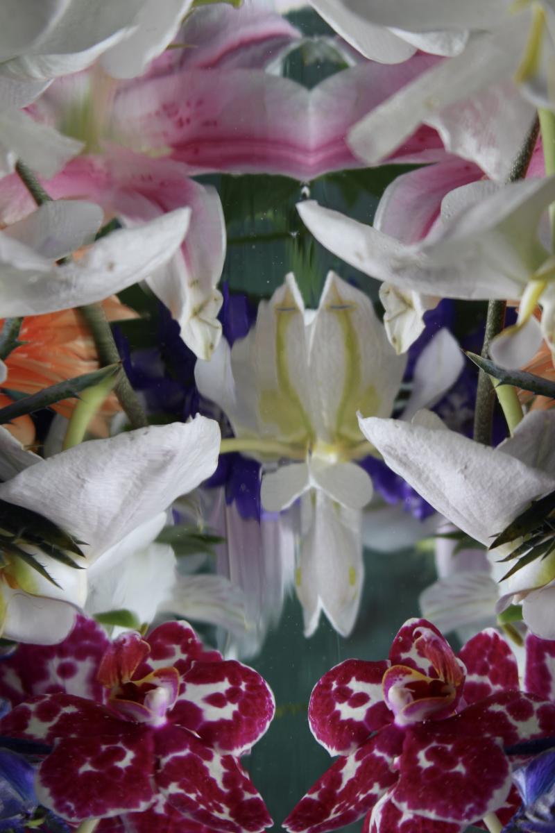 Andrea Bonfils Submerged Garden 7516