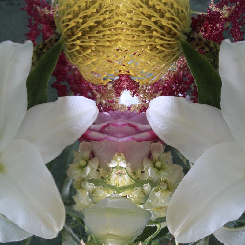 Andrea Bonfils Submerged Garden 8293