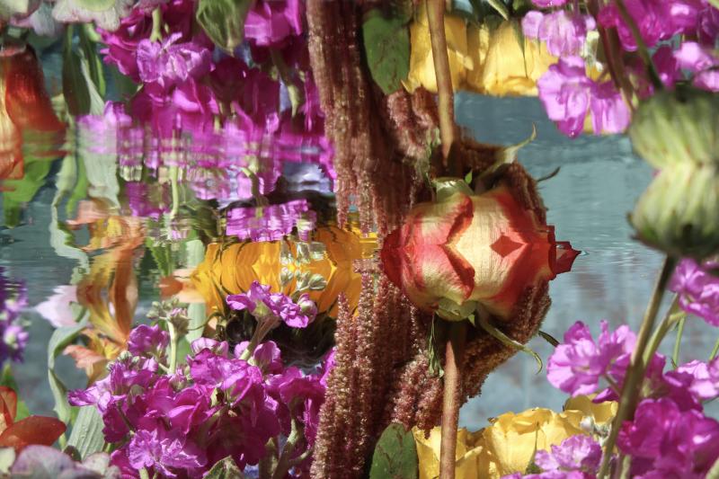 Andrea Bonfils Submerged Garden 9064