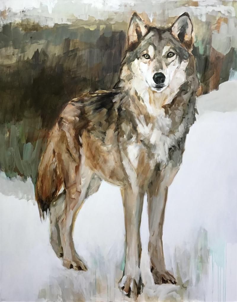 Andrea Moore The Backcountry