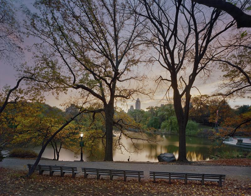 Andrew Moore Central Park Heron