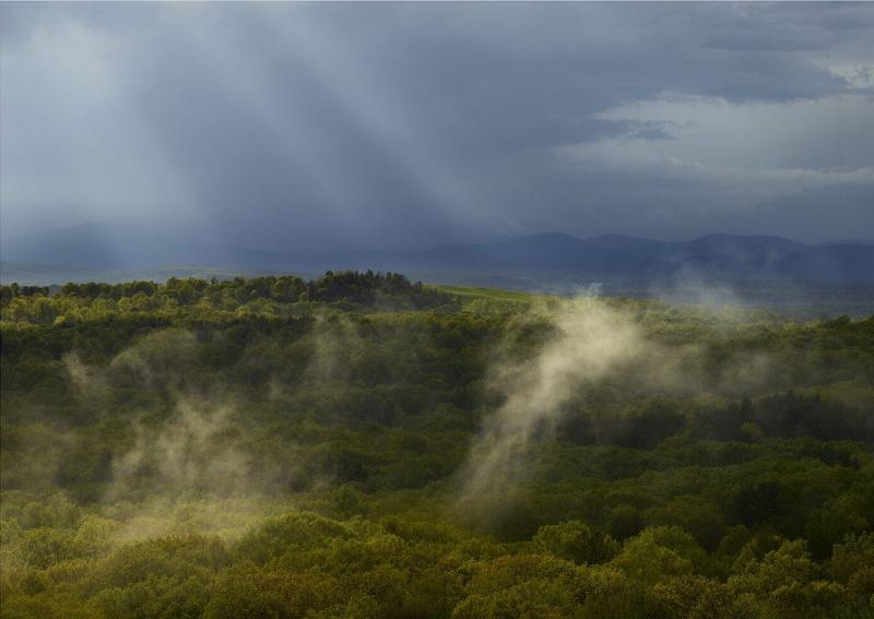 Andrew Moore Rain Sprites Clinton