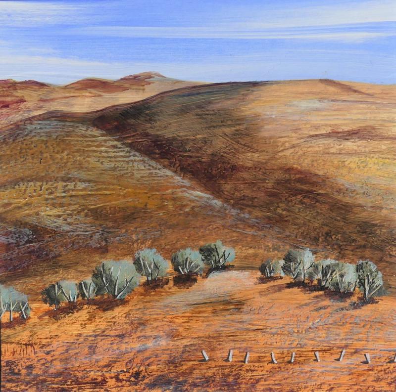 Anni Washington Texture in Hills 1