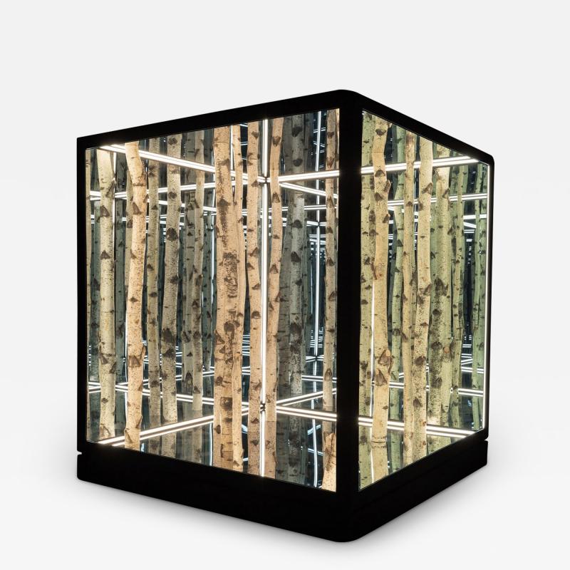 Anthony James 50 BIRCH CUBE