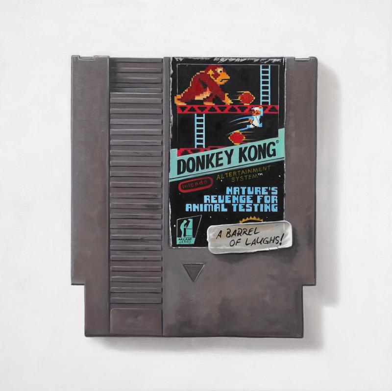 Arlo Sinclair Donkey Kong Natures Revenge NES