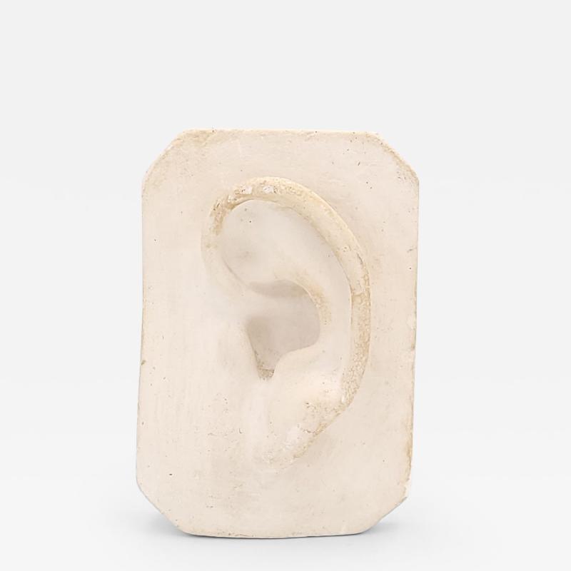 Artists Plaster Model of an Ear circa 1880