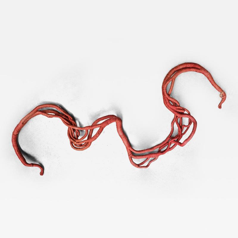 Aude Franjou Pale red vine I