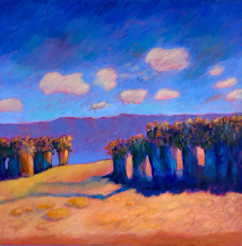 Barbara Sowle Santa Barbara CA Landscape Painting on Canvas