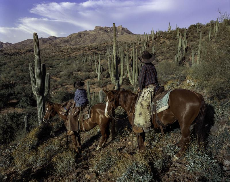 Beau Simmons Sonoran Glow