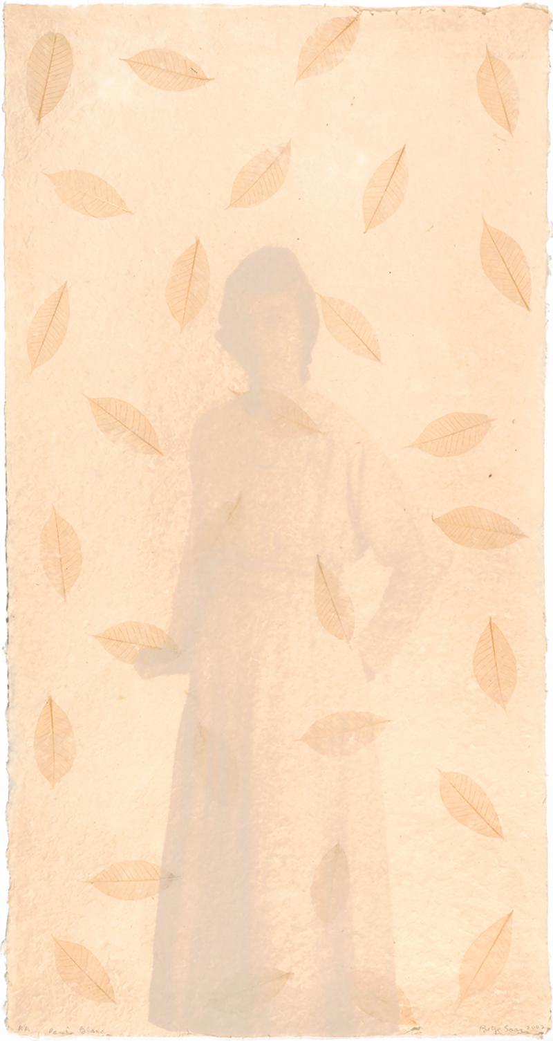 Betye Saar Passe Blanc African American Female Artist