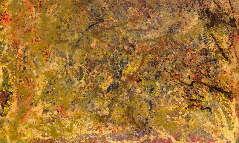Bill Alpert Galaxy III 
