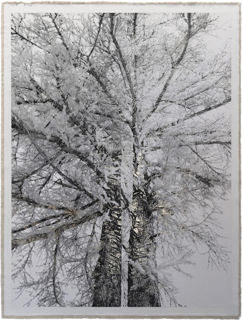 Bill Claps Brothers of Val Fex