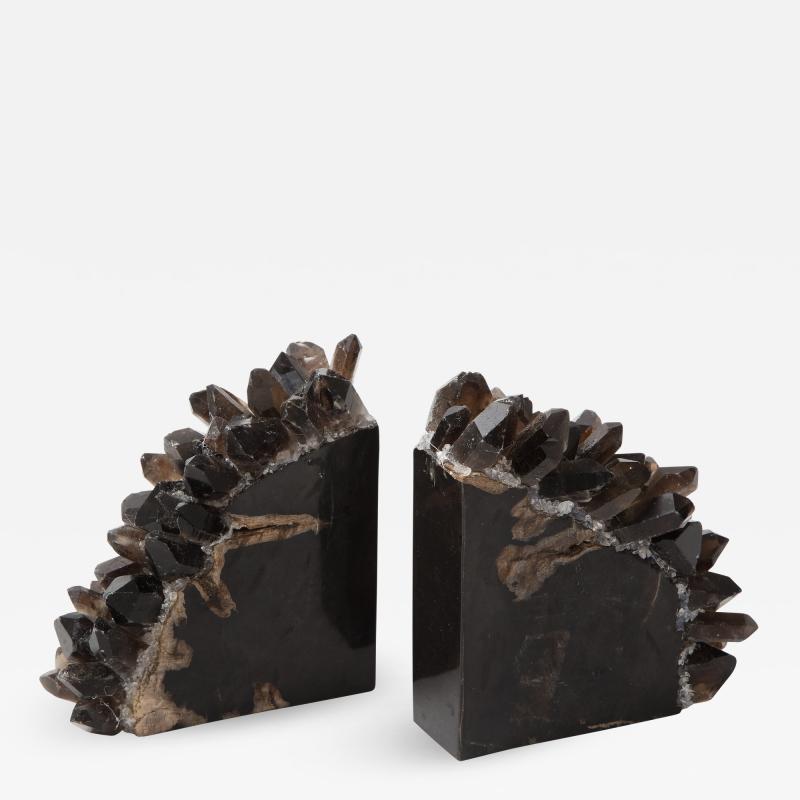 Black Petrified Wood Quartz Bookends