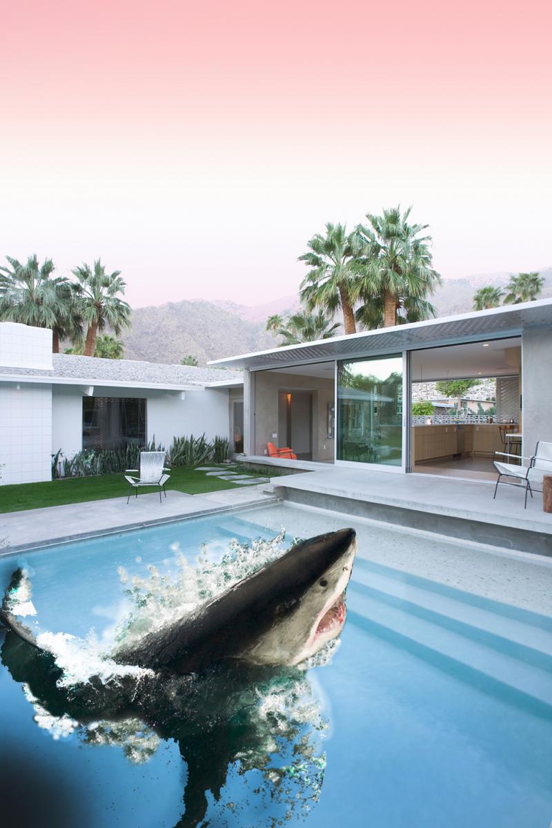 Blank Barbie Shark Pool