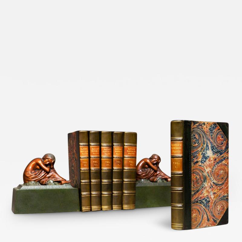 Book Sets 6 Volumes William Baxter British Phaenogamous Botany