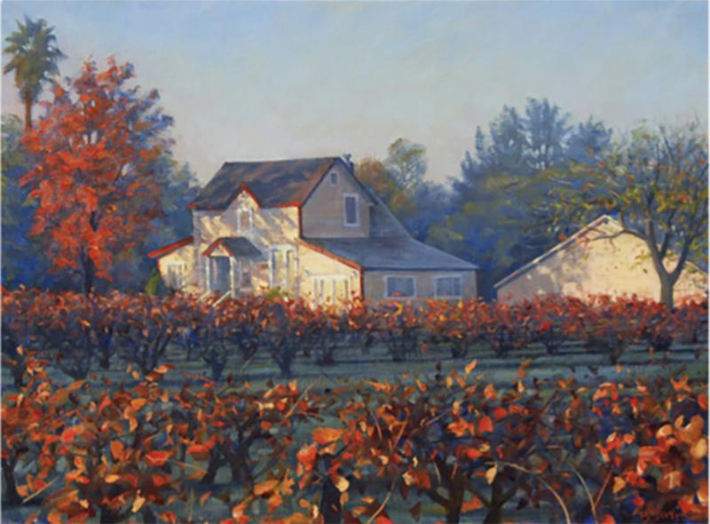Bradley Stevens Vineyard Morning 2016