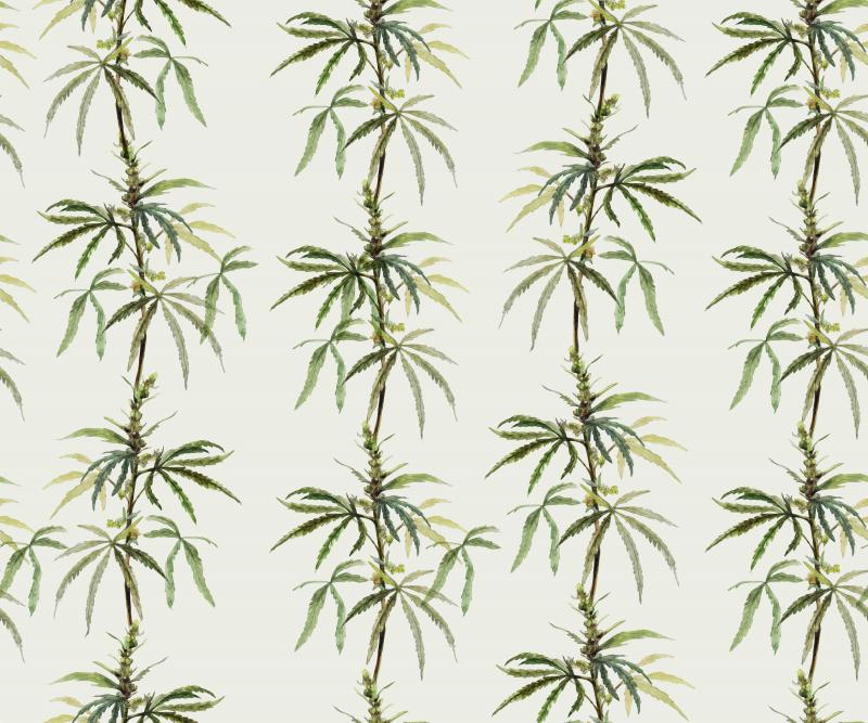 Brett Design Botanical Ganja Babys Breath