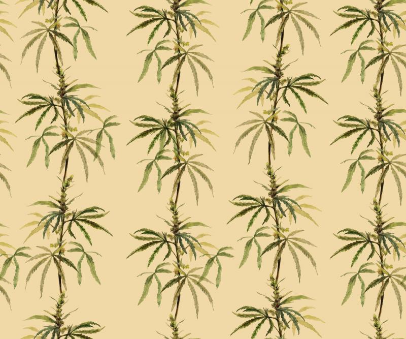 Brett Design Botanical Ganja On Barley