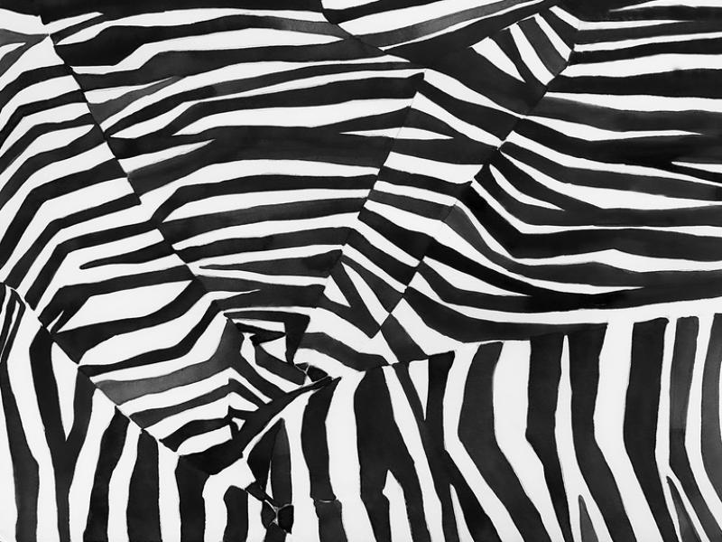 Brett Design Zebra