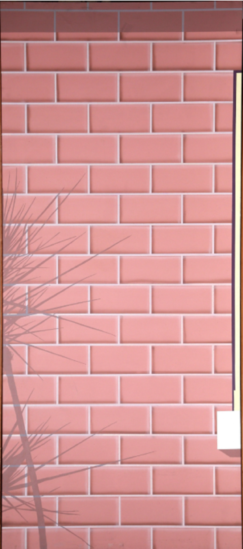 Brick Wall with Shadows