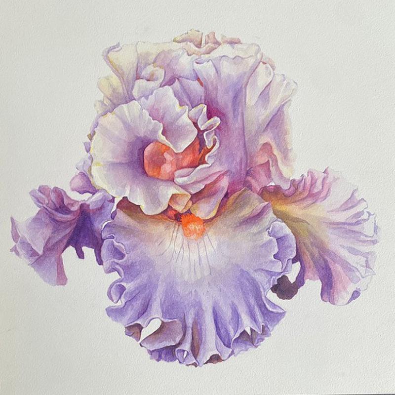 Bryan McCullough Iris 5