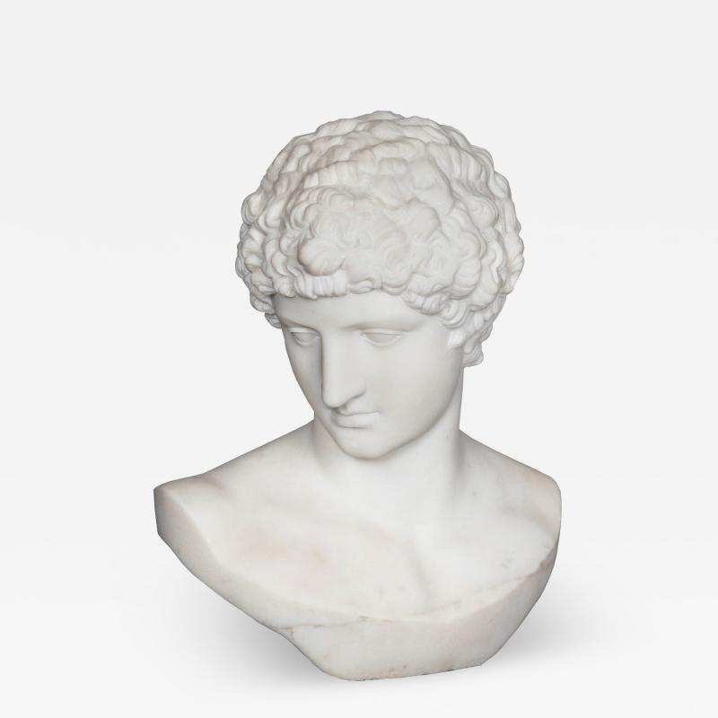 Bust of Capitoline Antinous Filli Pugi 19th Century