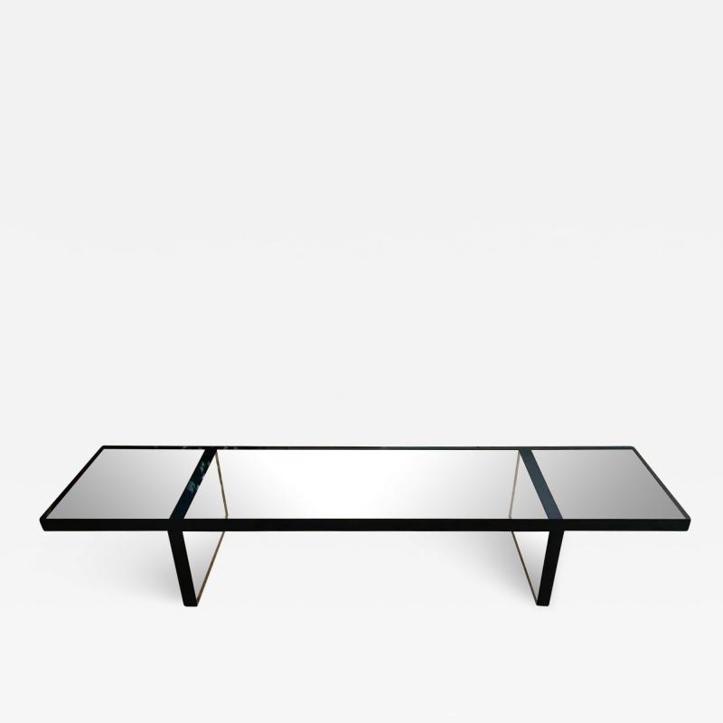 Cain Modern Thick Lucite Coffee Table Bench in Clear Black Lucite