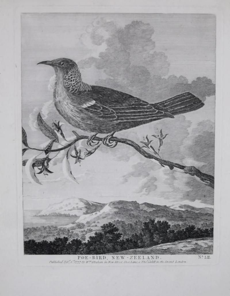 Captain James Cook POE BIRD NEW ZEELAND NO LII