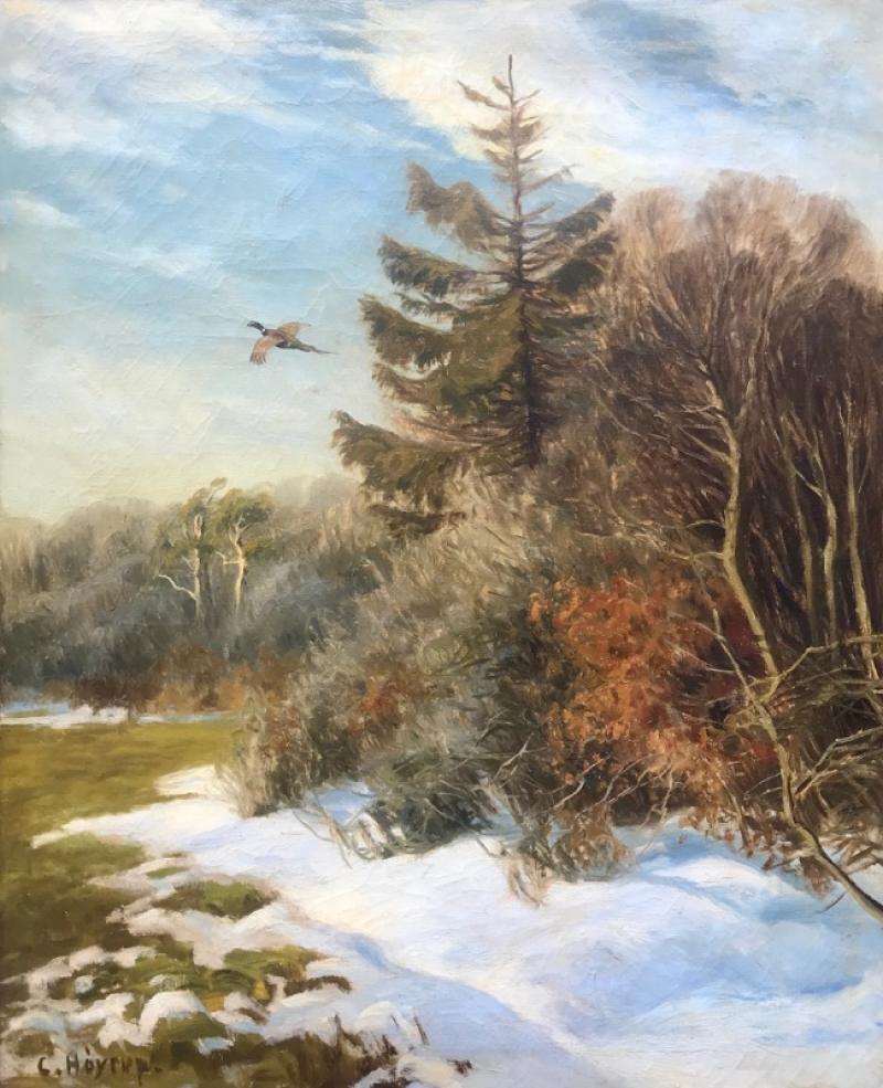 Carl Hoyrup Pheasant in Flight 