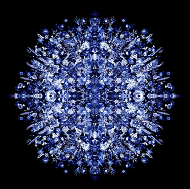 Carlos Betancourt Re Collections XI Azul 2011