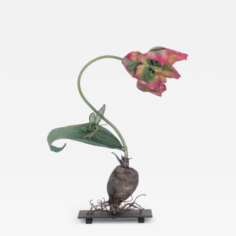 Carmen Almon Pink Yellow and Green Tulip with Cicada 2025