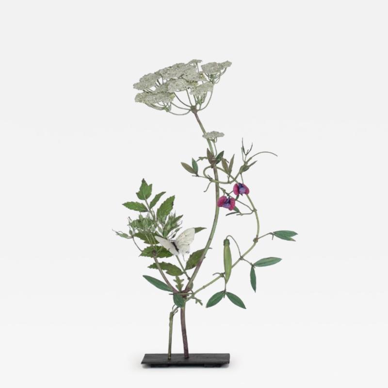 Carmen Almon Wild Carrot with Morpho Butterfly 2025
