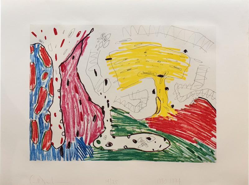 Carroll Dunham Carroll Dunham Colored Etching I Signed and Numbered