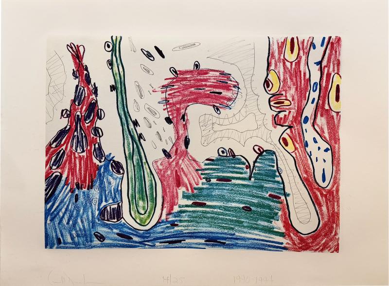 Carroll Dunham Carroll Dunham Colored Etching III Signed and Numbered