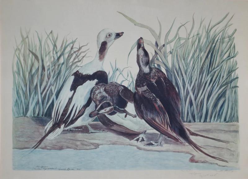 Carroll Sargent Tyson Jr CARROLL SARGENT TYSON 1877 1956 OLD SQUAWS