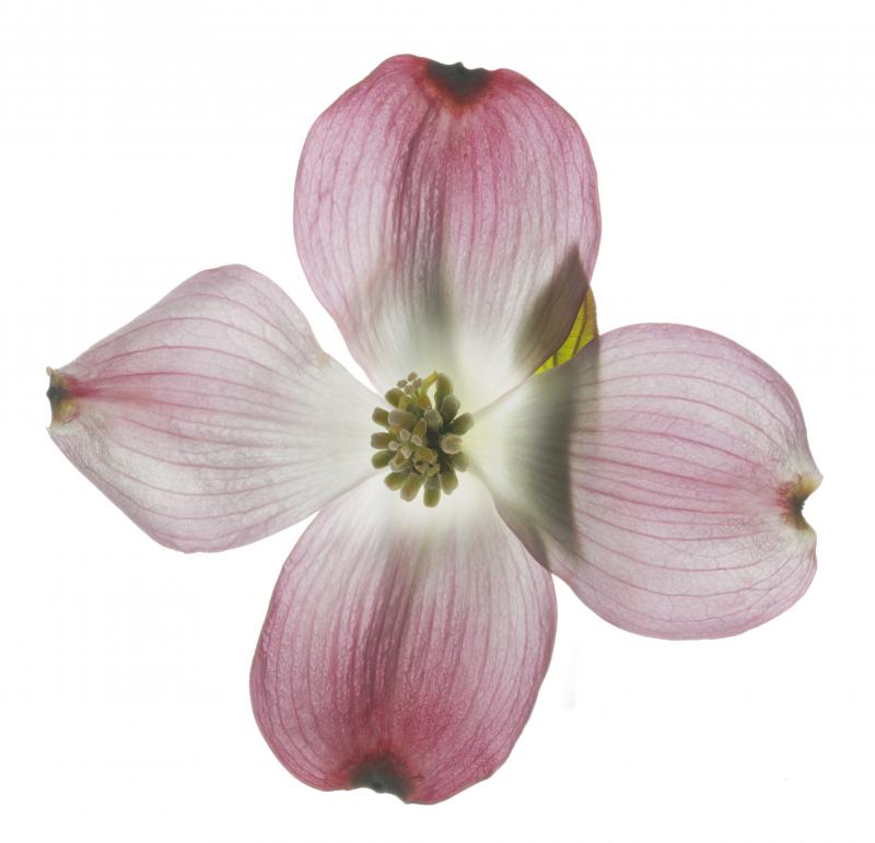 Chad Kleitsch Untitled 122