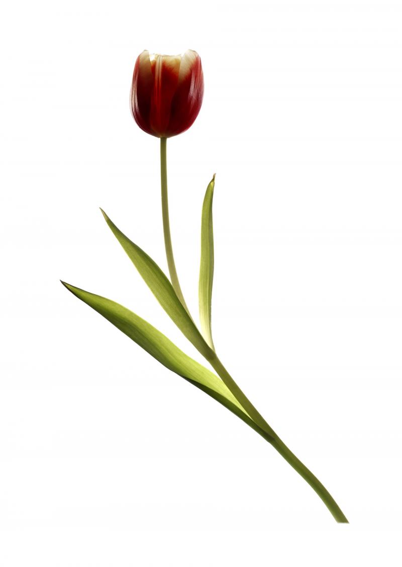 Chad Kleitsch Untitled 45