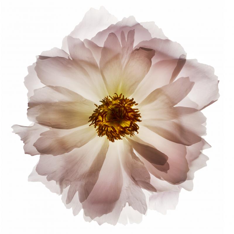 Chad Kleitsch Untitled 72