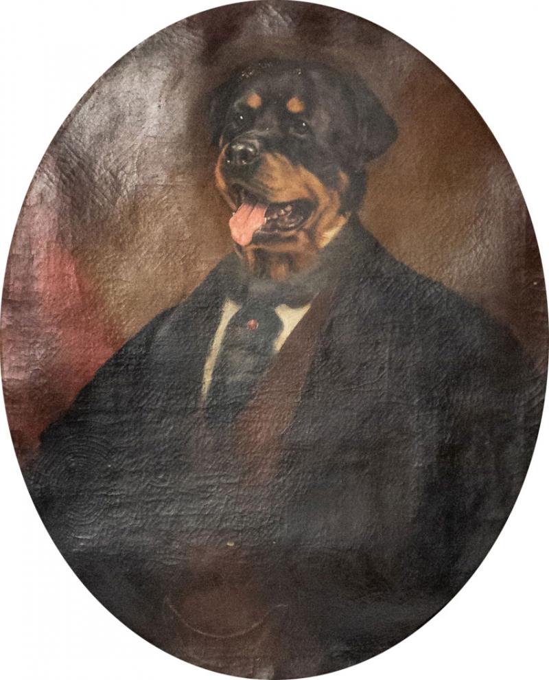 Character Portrait of a Dog Oil Painting