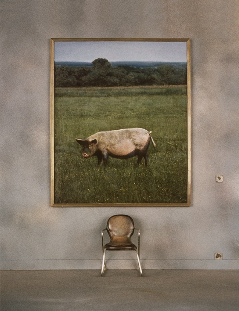 Charles Matton Museum Exhibit an armchair and a Portrait of a Pig 1987