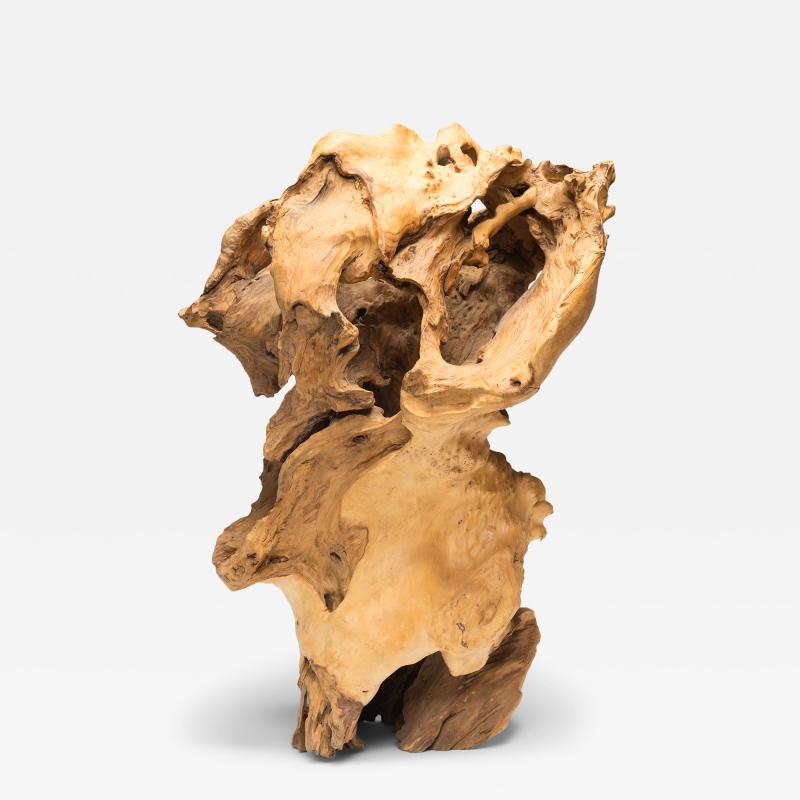 Chasm Root Sculpture