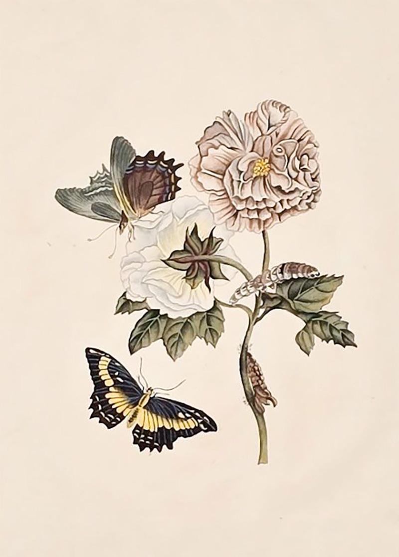 China Trade Painting of Flowers Butterflies circa 1880