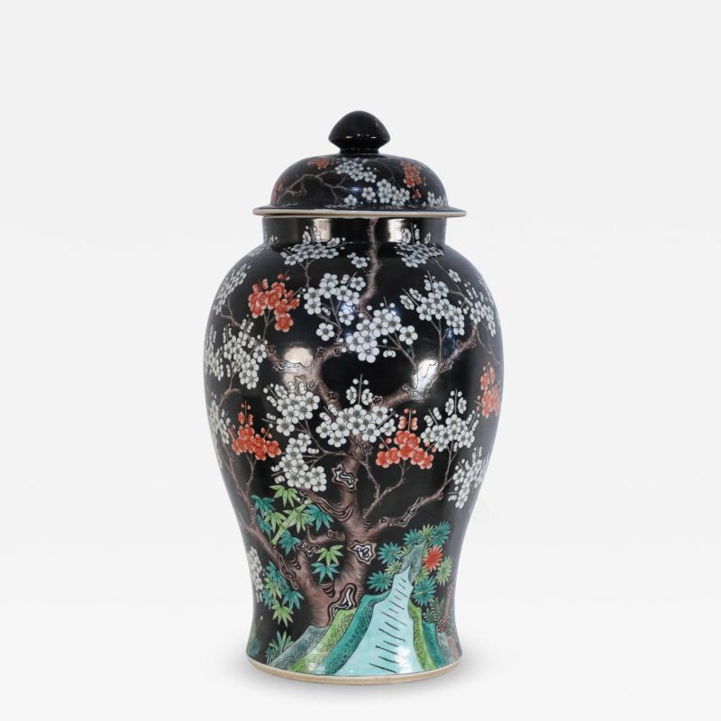 Chinese Black and White Cherry Blossom Tree Motif Porcelain Jar