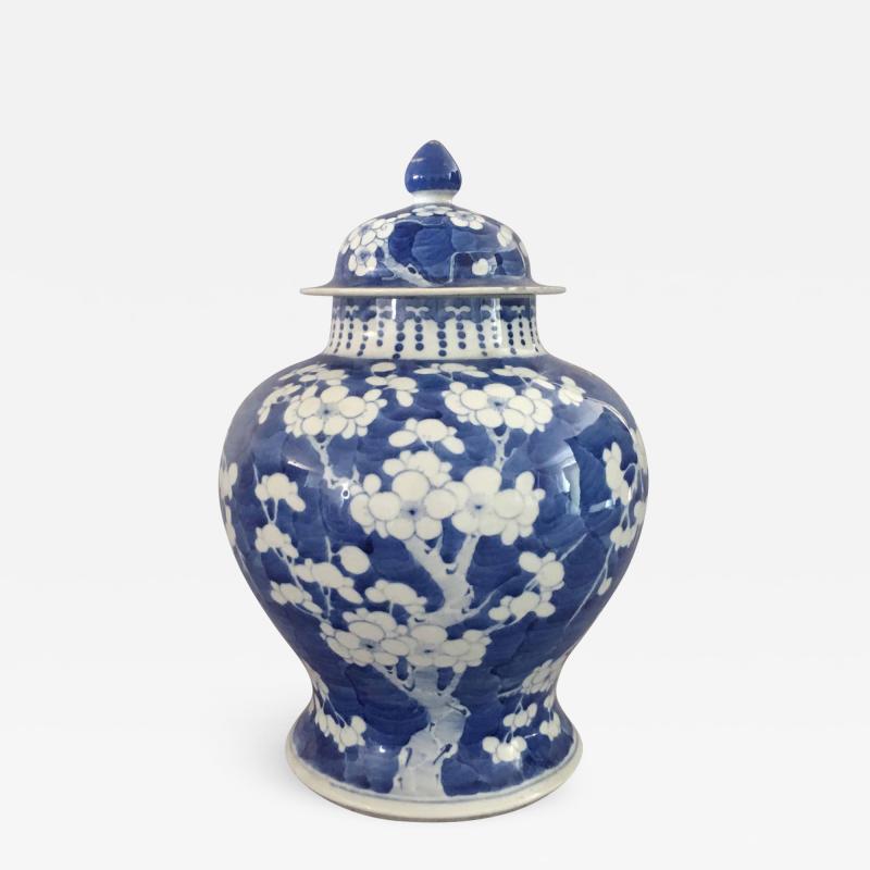 Chinese Export Blue and White Prunus Vase and Lid