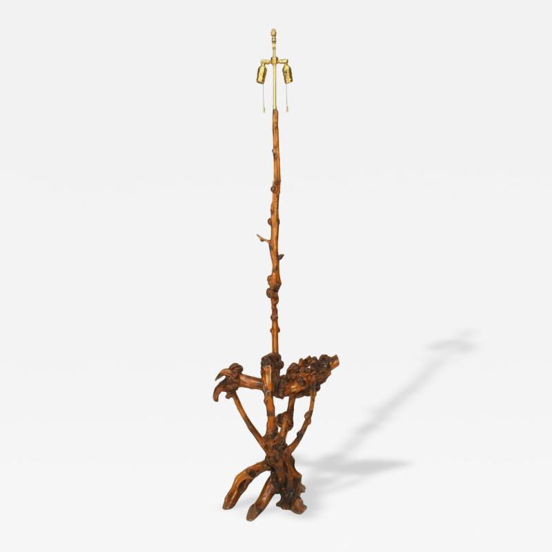 Chinese Style Rustic Tree Root Floor Lamp